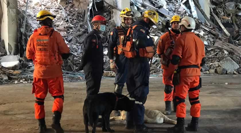 Equipe de cães do Corpo de Bombeiros Militar de Santa Catarina atua em buscas por bombeiros no RS