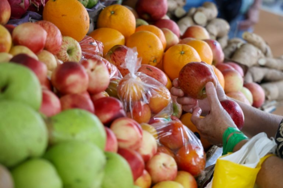 Santa Catarina é o estado com maior segurança alimentar e menor desigualdade de renda do Brasil