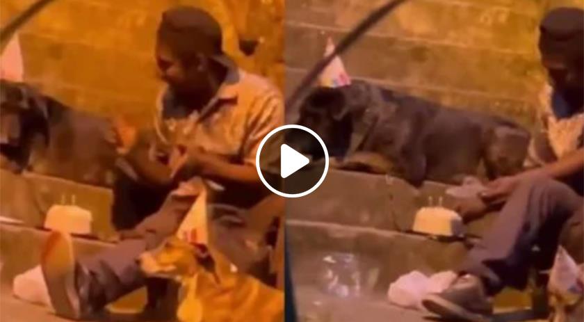 Vídeo muda vida de rapaz que comemorou aniversário com cães