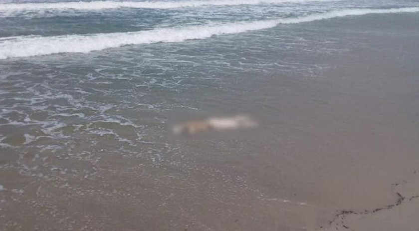 Corpo sem cabeça é encontrado em praia do litoral Catarinense