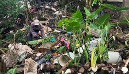 Mutirão da Prefeitura limpa área de preservação no Bairro Sagrado Coração de Jesus