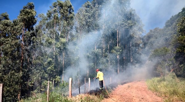 Bombeiros combatem incêndio por mais de 27 horas em área de reflorestamento