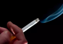 Alesc aprova proibição de consumo de cigarro nos parques de SC