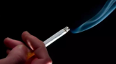 Alesc aprova proibição de consumo de cigarro nos parques de SC