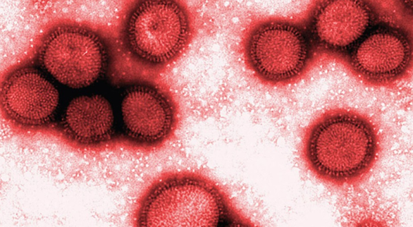 Menina de 12 anos morre por gripe H3N2 em SC, diz Dive