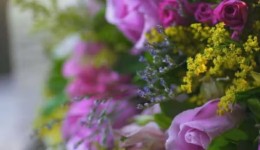Golpe das flores: veja como funciona e dicas para se proteger