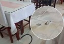 ‘Garrafa com querosene’: homem tenta colocar fogo em restaurante com clientes em SC